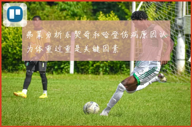 弗莱分析东契奇和哈登伤病原因认为体重过重是关键因素